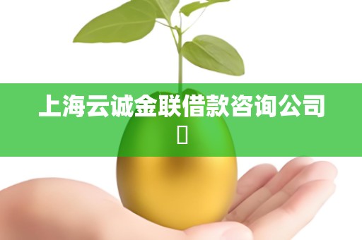 上海云诚金联借款咨询公司​
