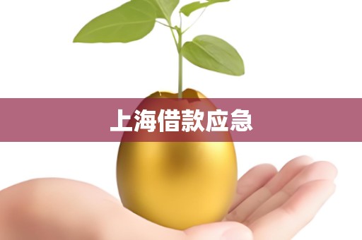 上海借款应急