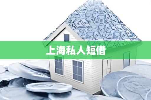 上海私人短借