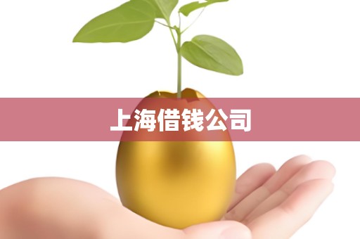 上海借钱公司