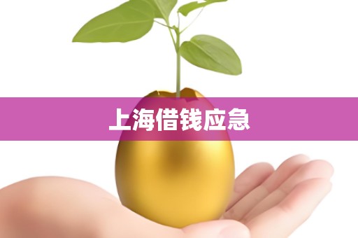 上海借钱应急