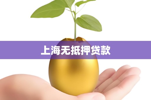 上海无抵押贷款