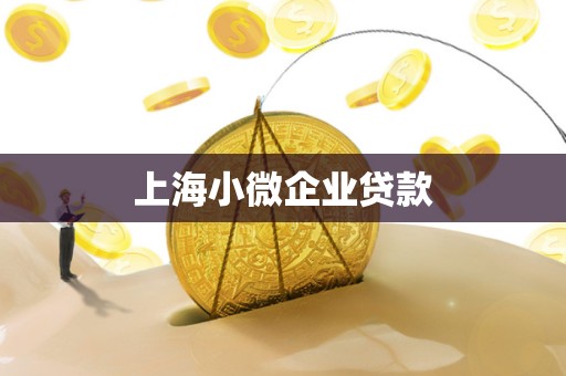 上海小微企业贷款