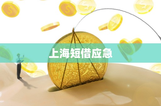 上海短借应急