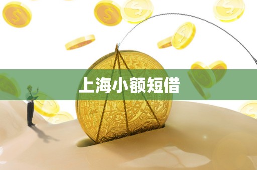 上海小额短借